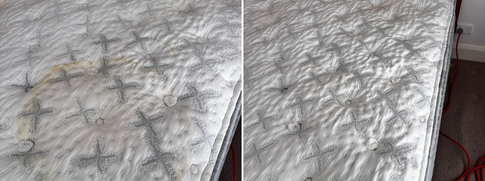 Mattress with a urine stain before and after mattress cleaning