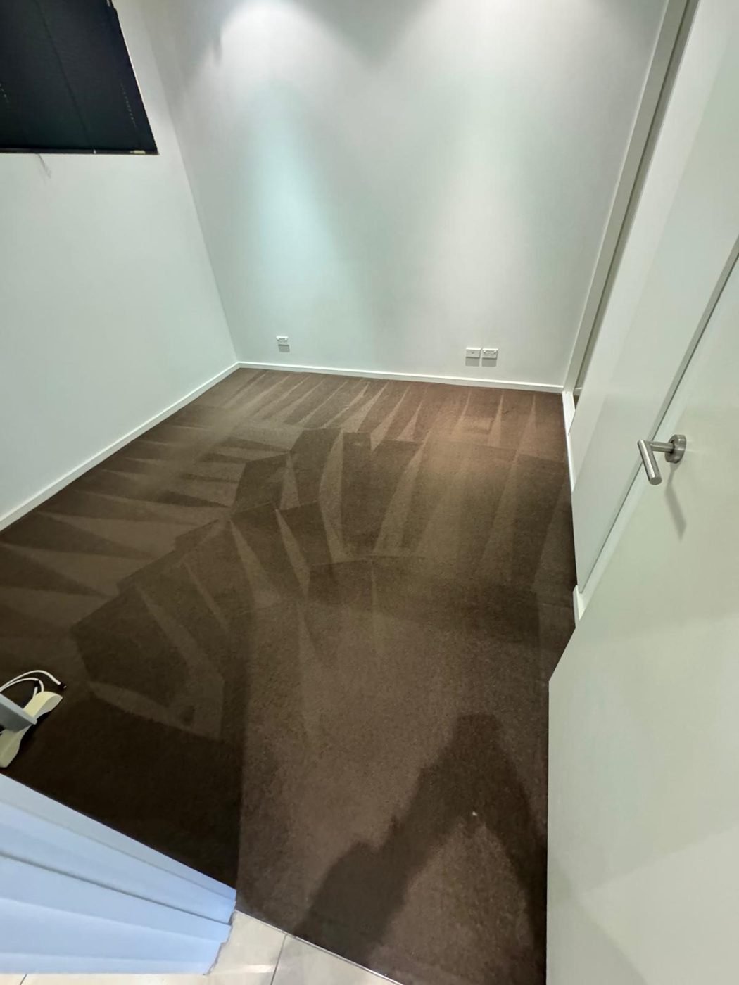 Bedroom carpet freshly steam cleaned in a Melbourne apartment, wand lines still visible