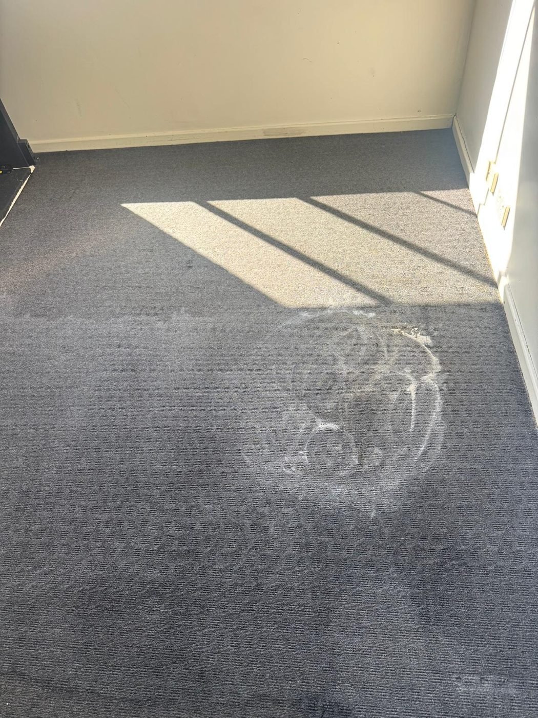 Carpet stain being pre treated before extraction in a Melbourne bedroom