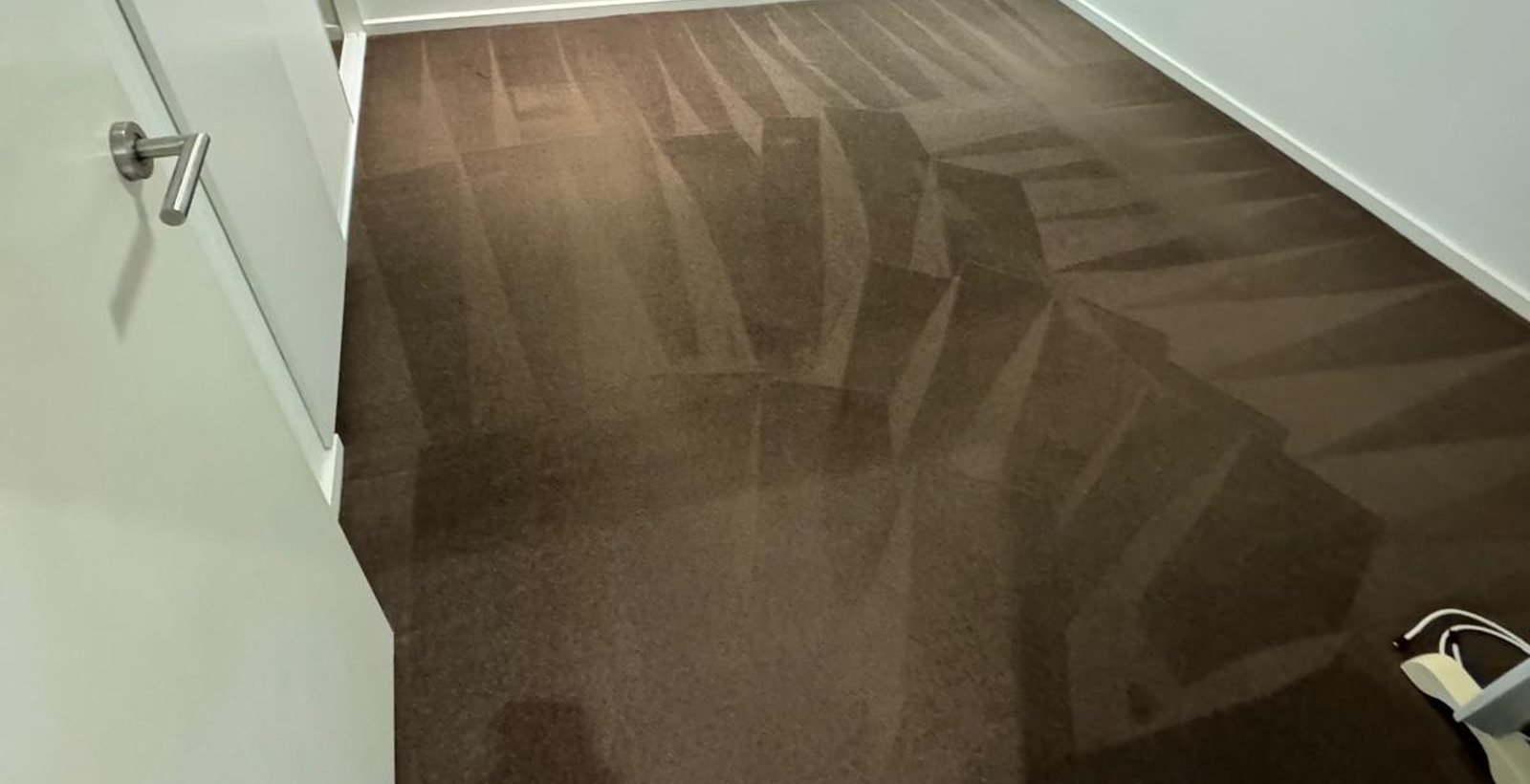 Bedroom carpet freshly steam cleaned in Melbourne, even wand lines across the pile