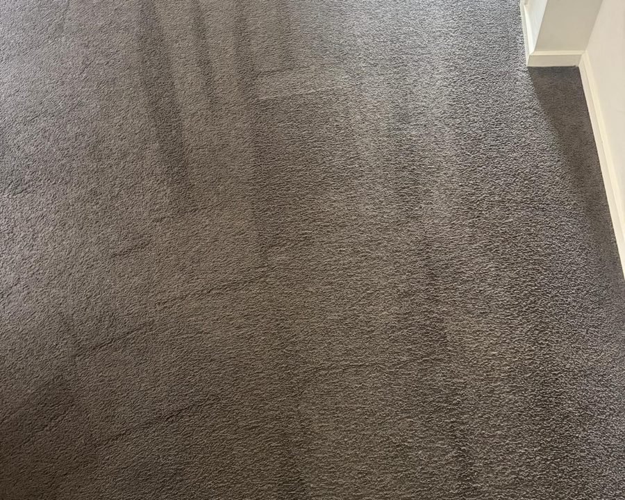 Freshly extracted carpet with even wand lines in a Melbourne home