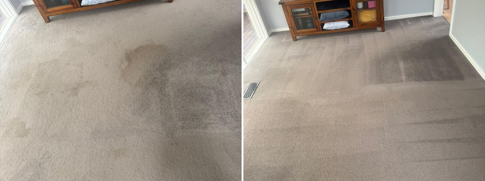 Lounge room carpet with traffic marks before and after carpet steam cleaning in Melbourne